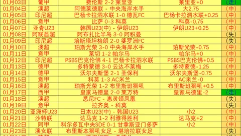 “2025年意甲经纪市场收入超22.6亿欧元，尤文领跑，国际米兰紧随”