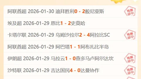 瑞士荣耀之夜：杯赛胜利巩固领先，伤病阴影下能否逆境破局？